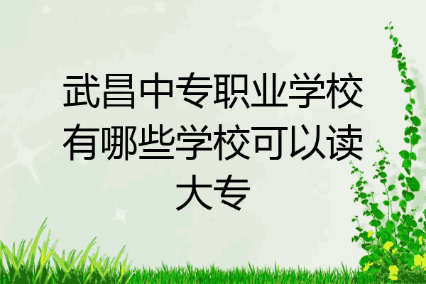 武昌中专职业学校有哪些学校可以读大专