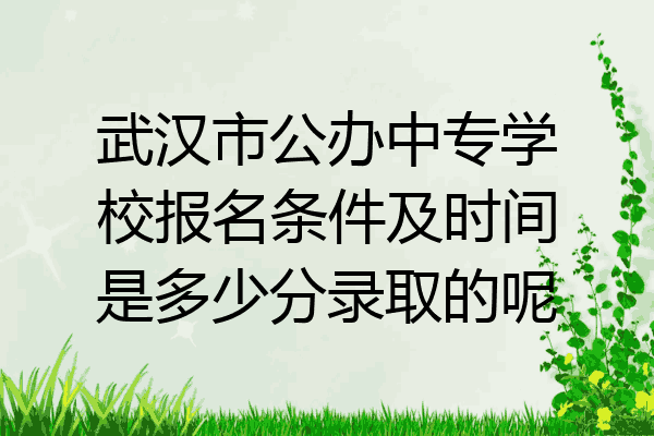 武汉市公办中专学校报名条件及时间是多少分录取的呢