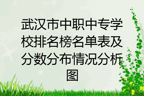 武汉市中职中专学校排名榜名单表及分数分布情况分析图