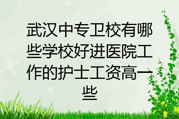 武汉中专卫校有哪些学校好进医院工作的护士工资高一些