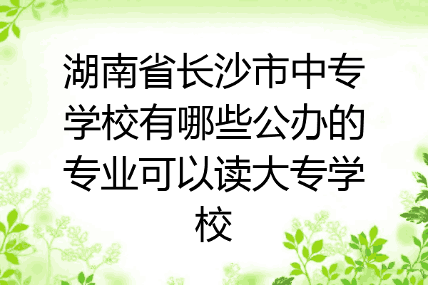 湖南省长沙市中专学校有哪些公办的专业可以读大专学校