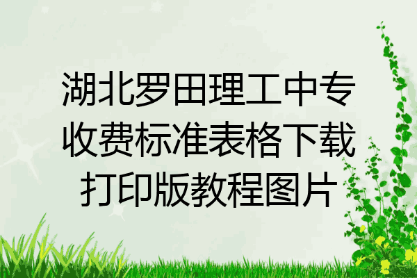 湖北罗田理工中专收费标准表格下载打印版教程图片