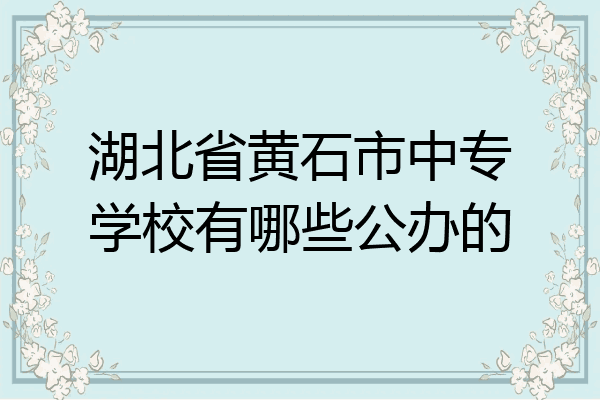 湖北省黄石市中专学校有哪些公办的