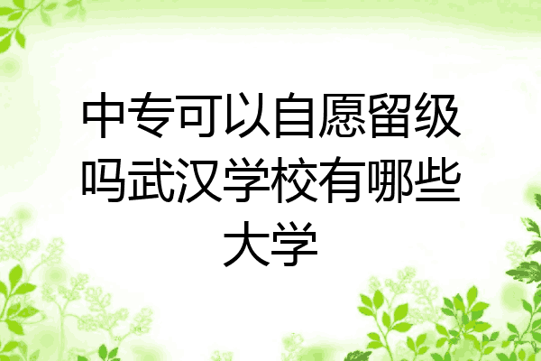 中专可以自愿留级吗武汉学校有哪些大学