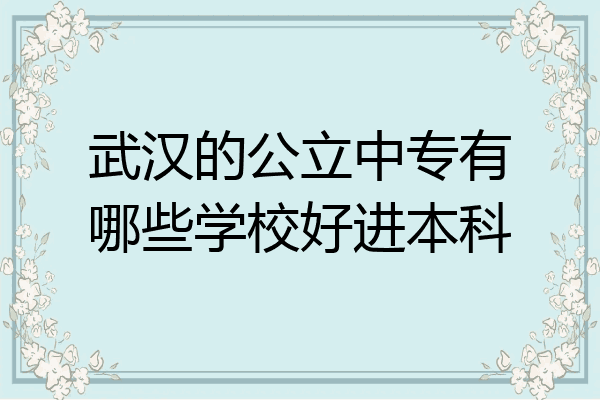 武汉的公立中专有哪些学校好进本科