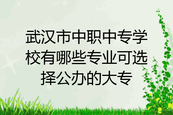 武汉市中职中专学校有哪些专业可选择公办的大专