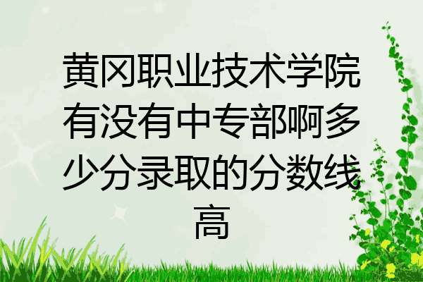 黄冈职业技术学院有没有中专部啊多少分录取的分数线高