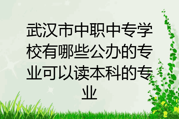 武汉市中职中专学校有哪些公办的专业可以读本科的专业