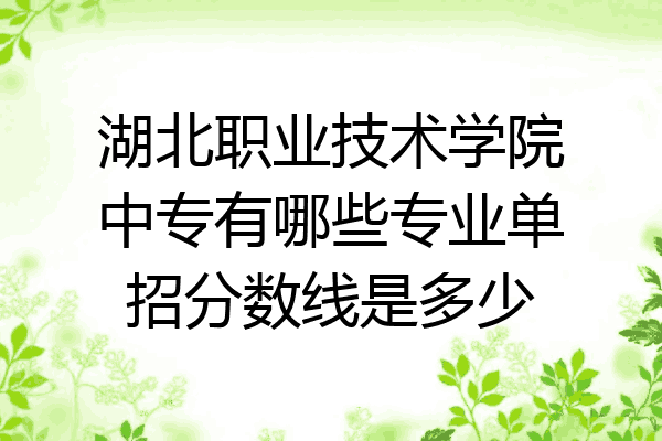 湖北职业技术学院中专有哪些专业单招分数线是多少