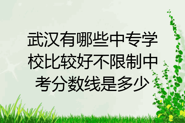 武汉有哪些中专学校比较好不限制中考分数线是多少