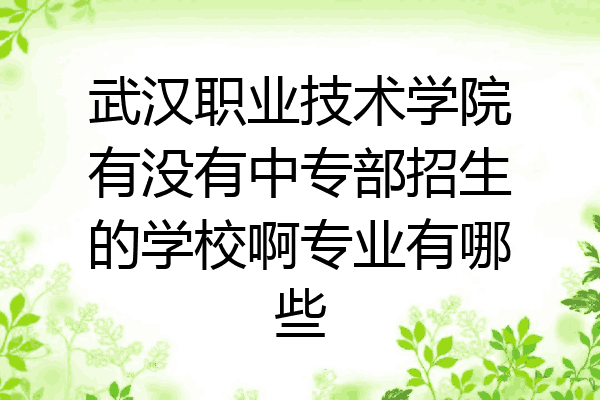 武汉职业技术学院有没有中专部招生的学校啊专业有哪些