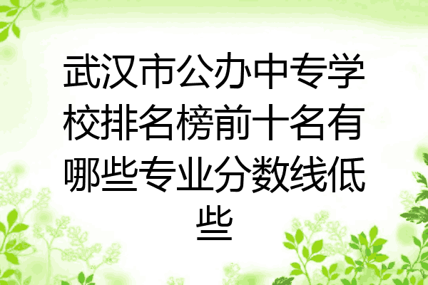 武汉市公办中专学校排名榜前十名有哪些专业分数线低些