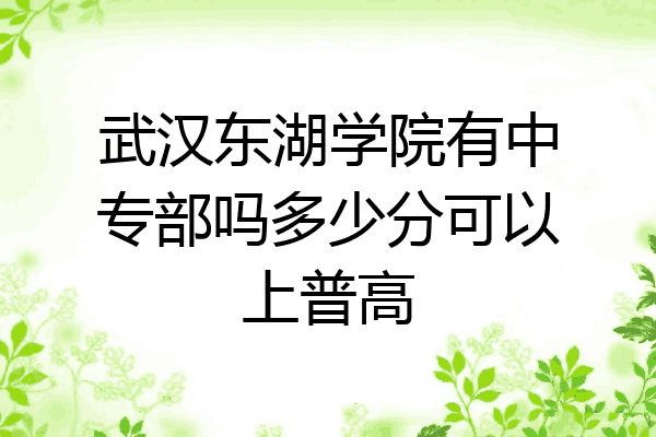 武汉东湖学院有中专部吗多少分可以上普高
