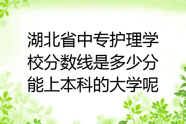 湖北省中专护理学校分数线是多少分能上本科的大学呢