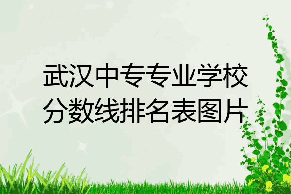 武汉中专专业学校分数线排名表图片