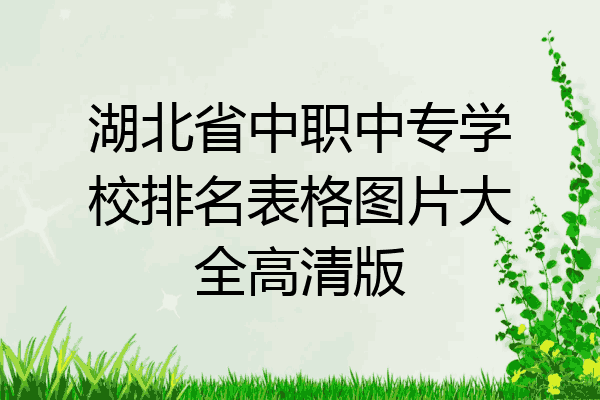 湖北省中职中专学校排名表格图片大全高清版