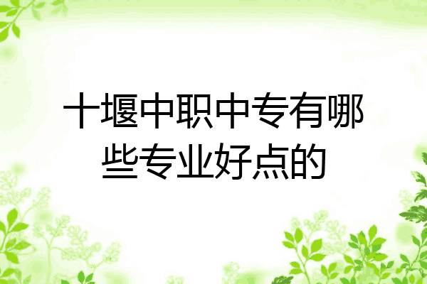 十堰中职中专有哪些专业好点的