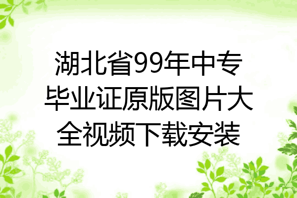 湖北省99年中专毕业证原版图片大全视频下载安装