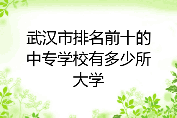 武汉市排名前十的中专学校有多少所大学