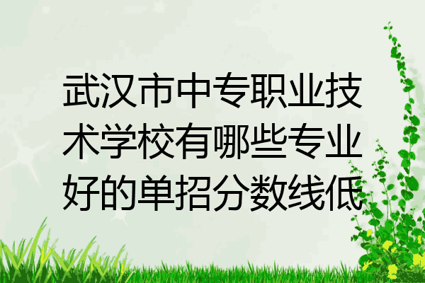 武汉市中专职业技术学校有哪些专业好的单招分数线低