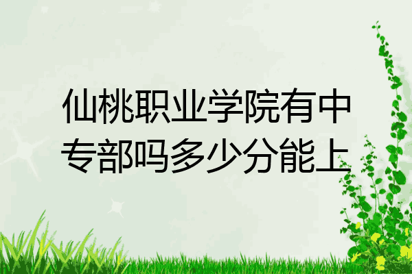 仙桃职业学院有中专部吗多少分能上
