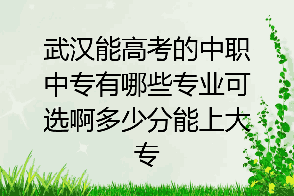 武汉能高考的中职中专有哪些专业可选啊多少分能上大专