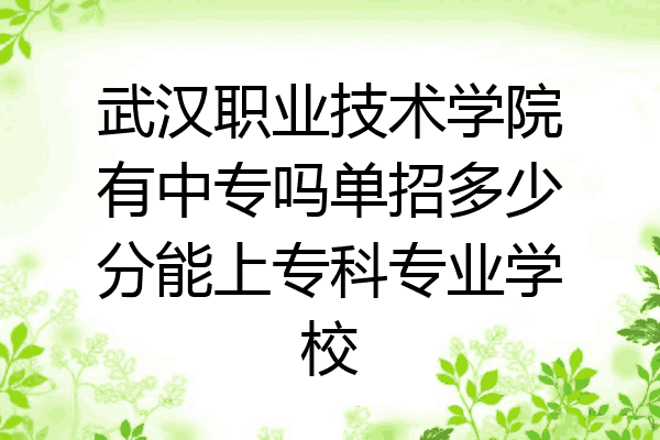 武汉职业技术学院有中专吗单招多少分能上专科专业学校