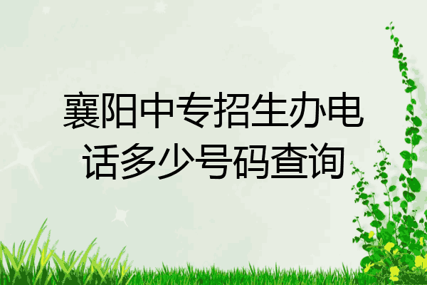 襄阳中专招生办电话多少号码查询