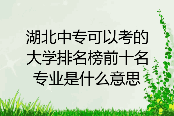 湖北中专可以考的大学排名榜前十名专业是什么意思