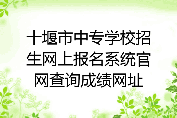 十堰市中专学校招生网上报名系统官网查询成绩网址