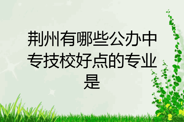 荆州有哪些公办中专技校好点的专业是