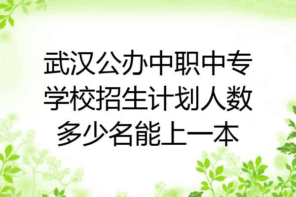 武汉公办中职中专学校招生计划人数多少名能上一本