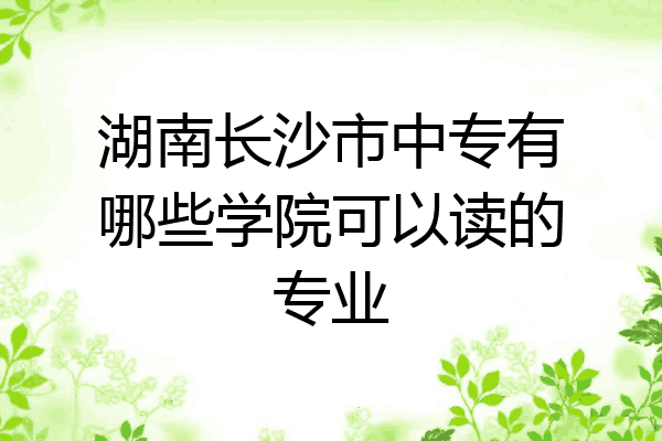 湖南长沙市中专有哪些学院可以读的专业