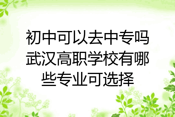 初中可以去中专吗武汉高职学校有哪些专业可选择