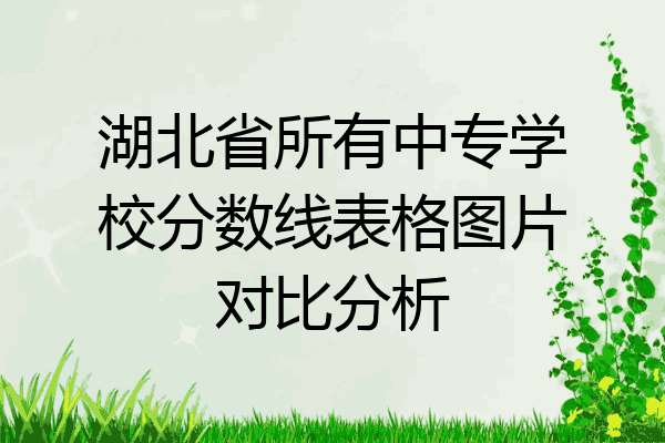 湖北省所有中专学校分数线表格图片对比分析