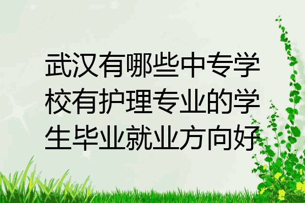 武汉有哪些中专学校有护理专业的学生毕业就业方向好