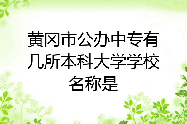 黄冈市公办中专有几所本科大学学校名称是
