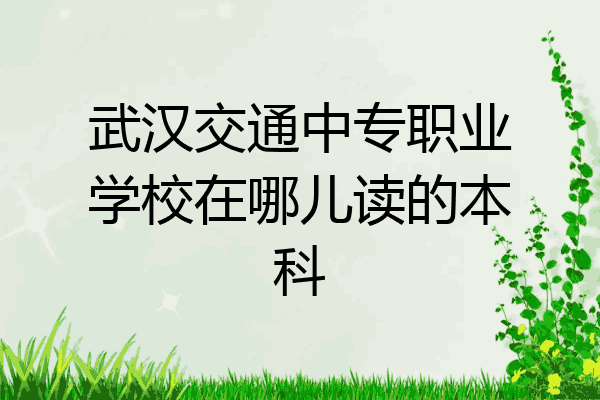 武汉交通中专职业学校在哪儿读的本科
