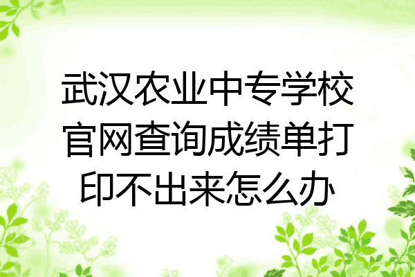 武汉农业中专学校官网查询成绩单打印不出来怎么办