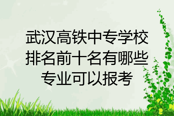 武汉高铁中专学校排名前十名有哪些专业可以报考