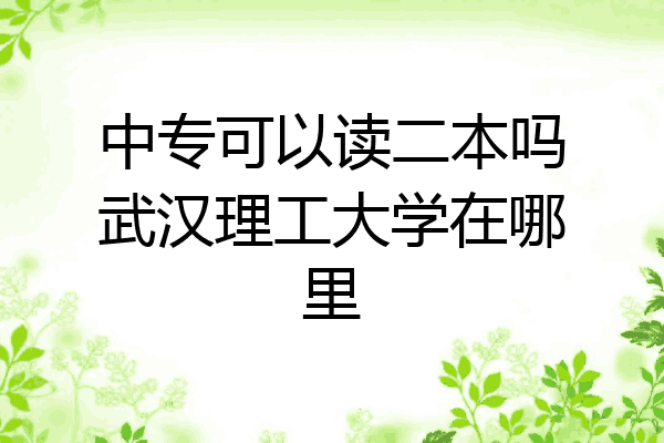 中专可以读二本吗武汉理工大学在哪里
