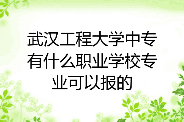 武汉工程大学中专有什么职业学校专业可以报的
