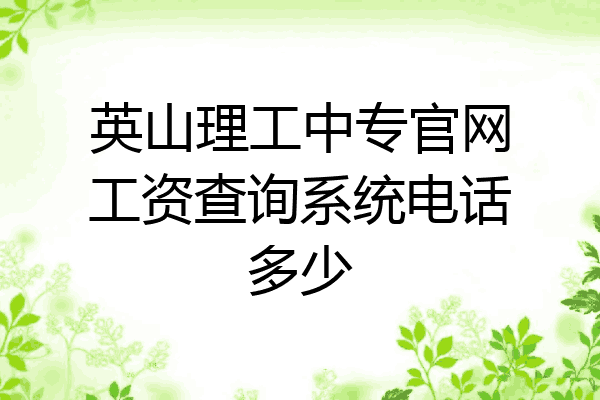 英山理工中专官网工资查询系统电话多少