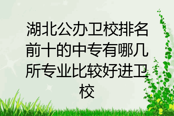 湖北公办卫校排名前十的中专有哪几所专业比较好进卫校