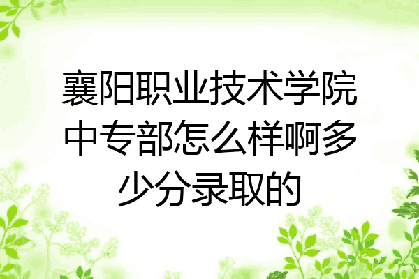 襄阳职业技术学院中专部怎么样啊多少分录取的