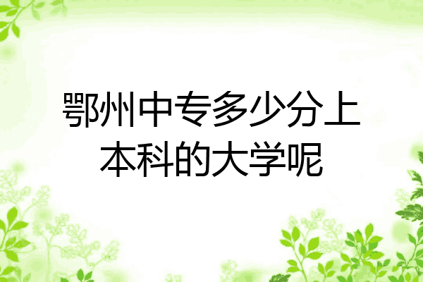 鄂州中专多少分上本科的大学呢