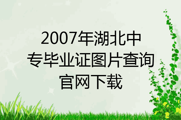 2007年湖北中专毕业证图片查询官网下载