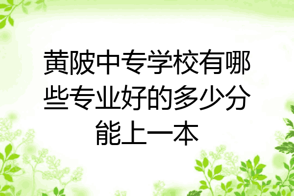 黄陂中专学校有哪些专业好的多少分能上一本