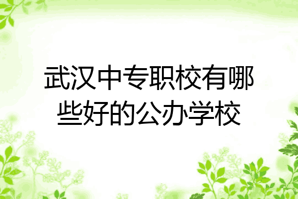 武汉中专职校有哪些好的公办学校