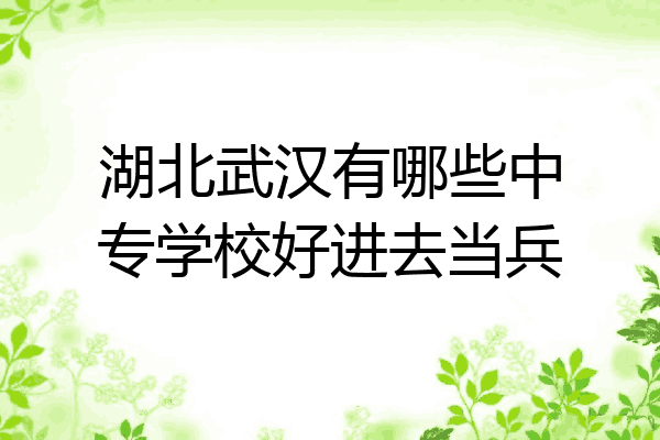 湖北武汉有哪些中专学校好进去当兵